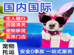 恩施许家坪机场邮寄国际宠物托运 【国